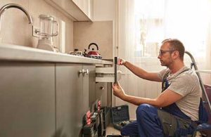 FEBRUARY 2026 FIND NEARBY PLUMBERS REVIEWS visual data 2